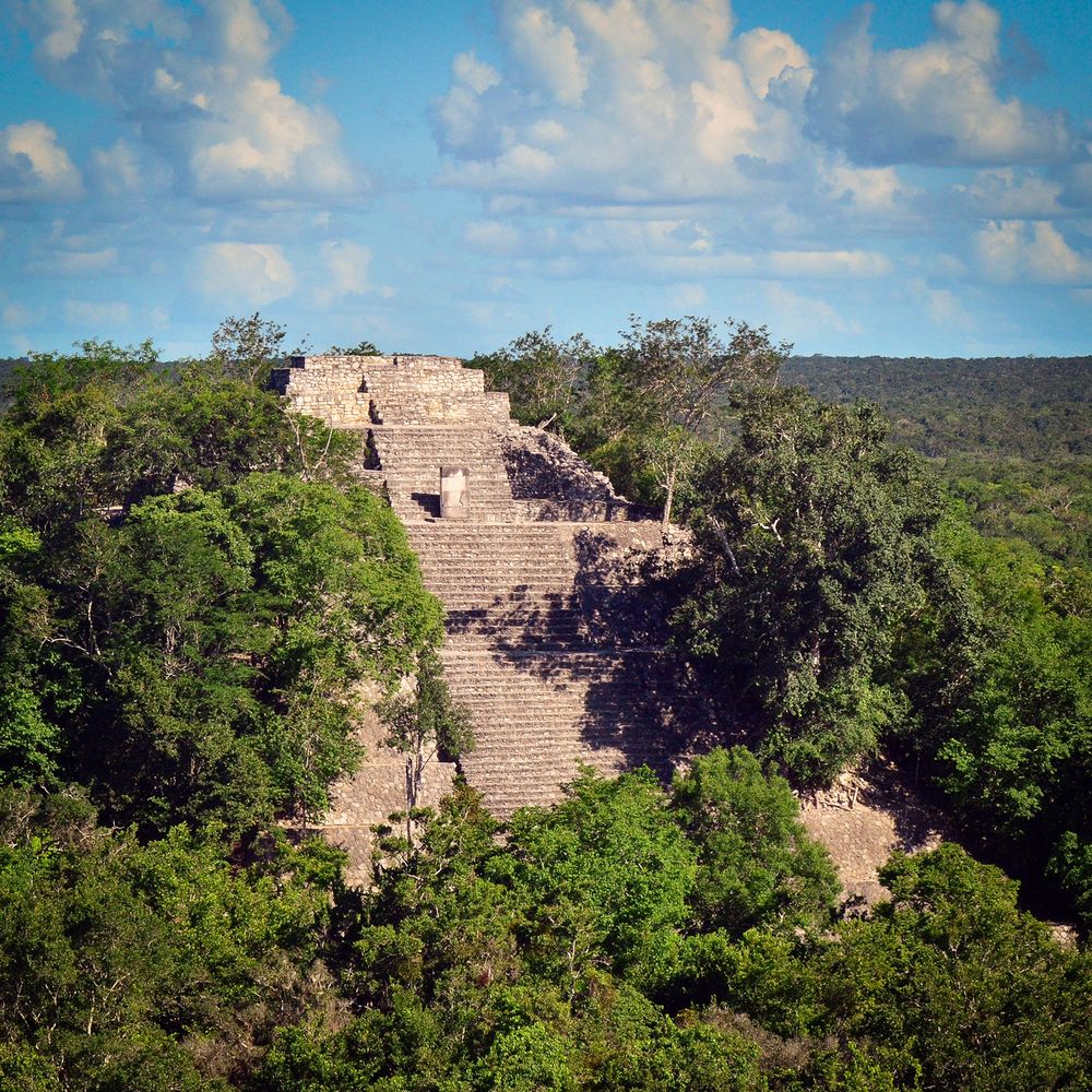 Pyramiderne i Calakmul.
