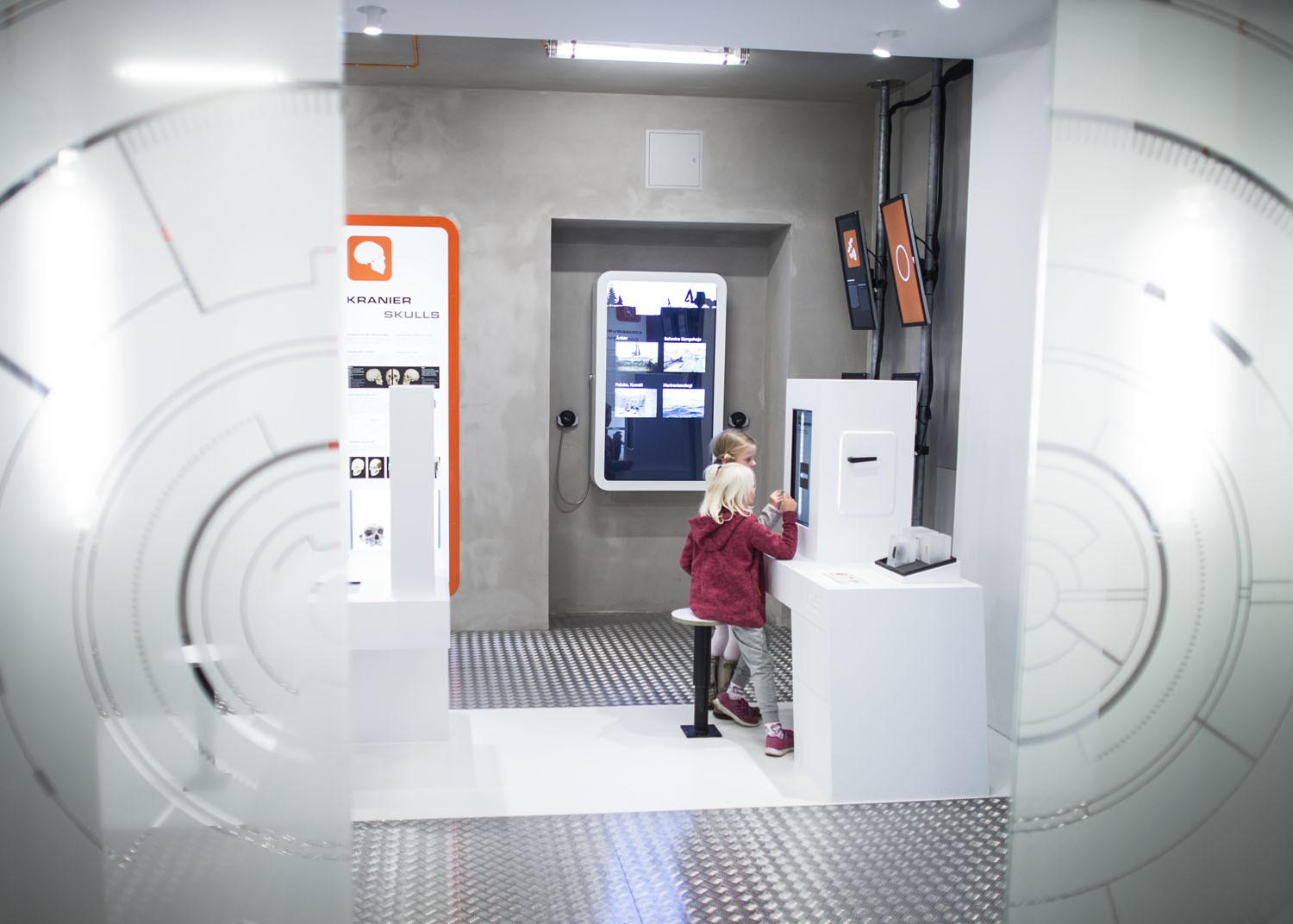 boern-i-junior-lab-paa-afstand