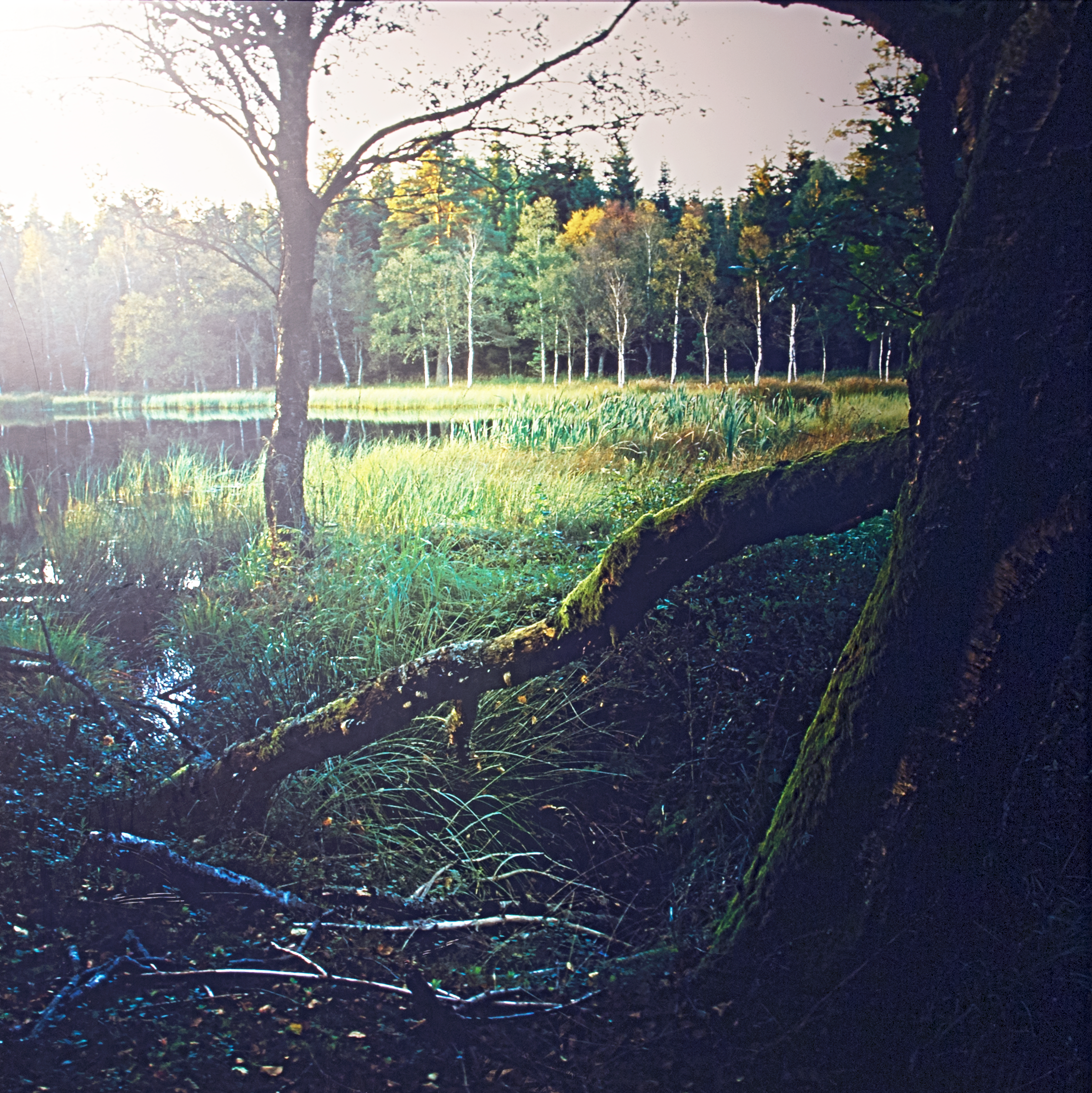 vaadomraade