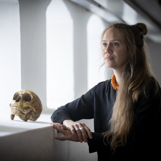 Menneskets udvikling – en lang historie, kort fortalt