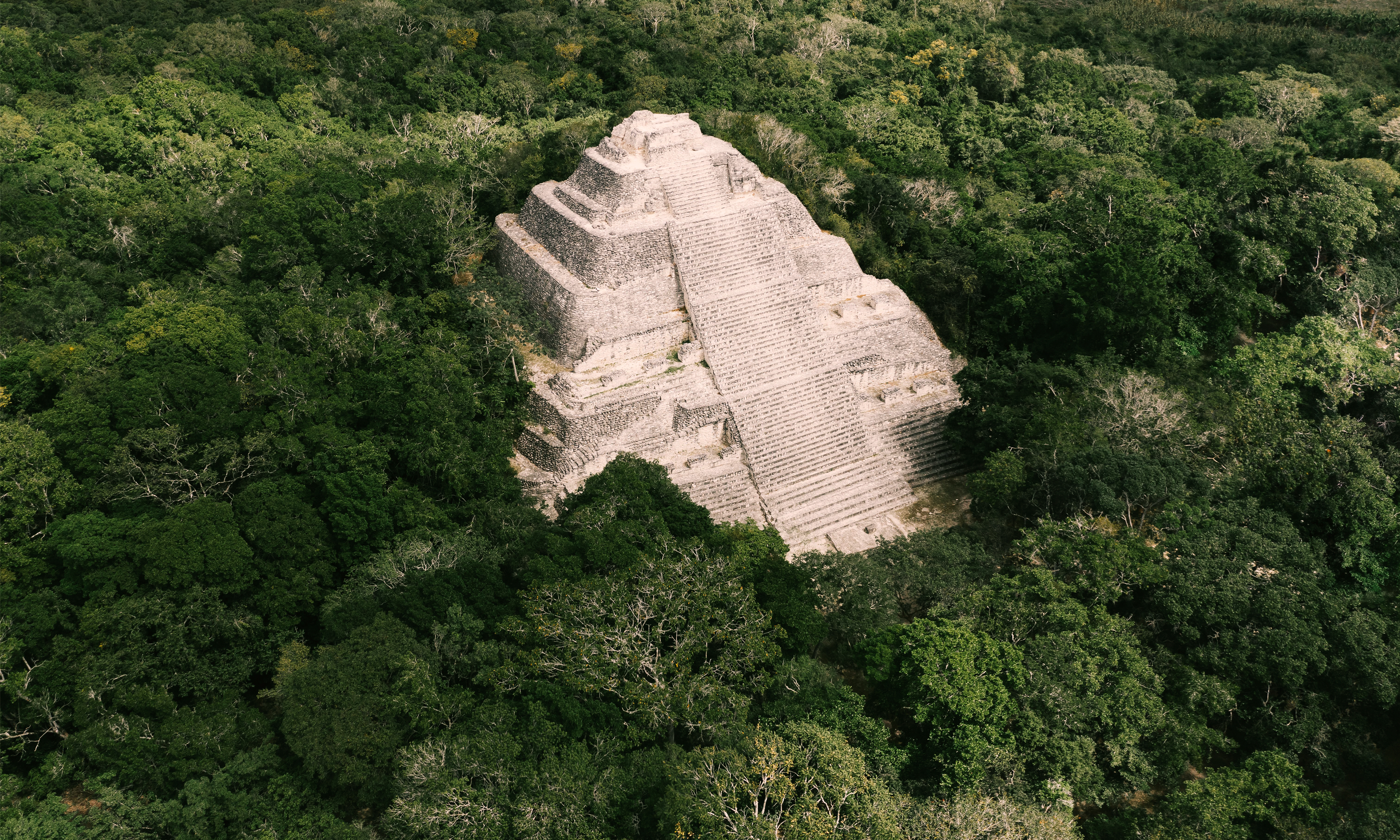 tempelpyramide-jungle