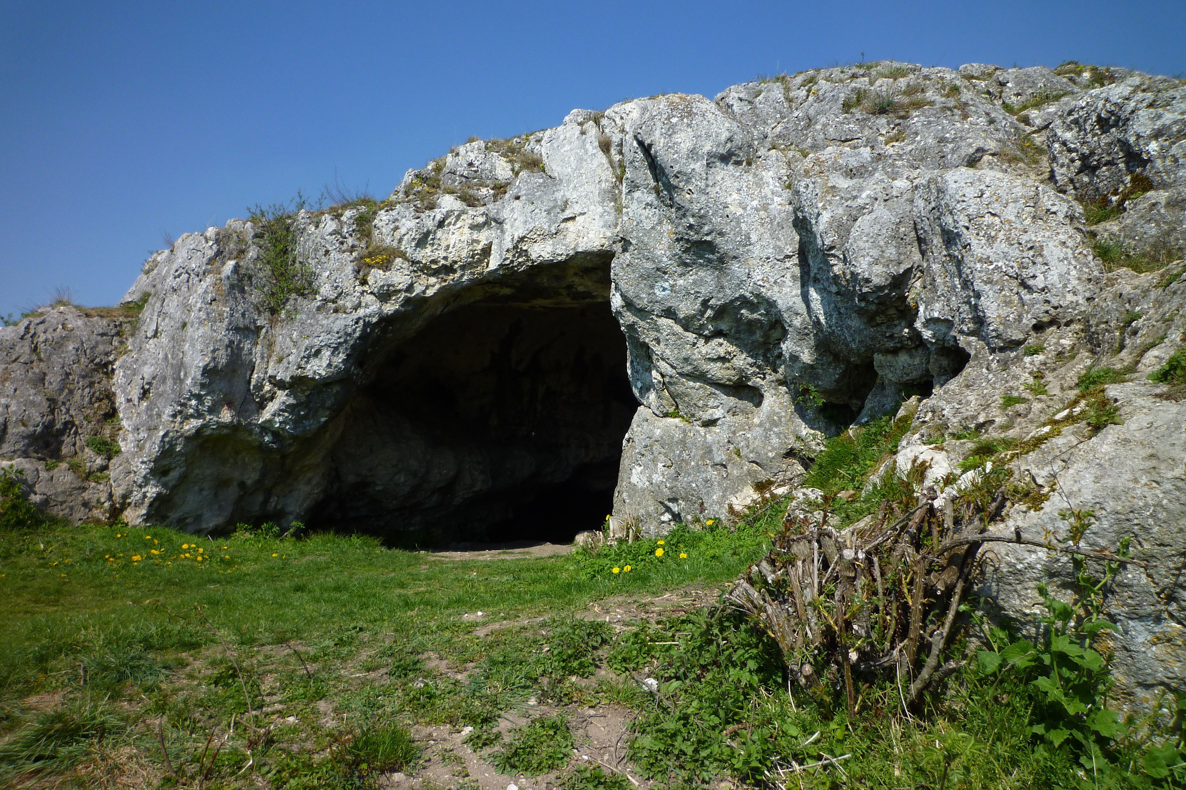 hule-fra-tyskland